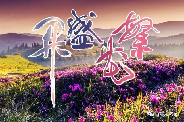 百年万鸿记繁花盛开——2017各地沟通茶会