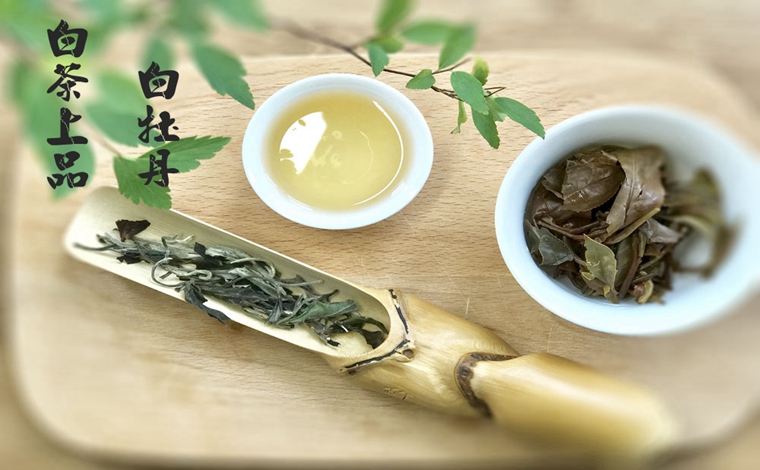 白茶上品——白牡丹